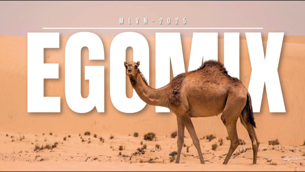 mlvn - Kadar (Official Visual Audio)