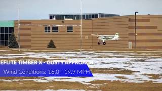 Eflite Timber X 1.2M Wingspan Bnf Basic - Gusty Landing Approach