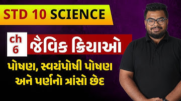 Std 10 Science Chapter 6 જૈવિક ક્રિયાઓ Part 2|સ્વયંપોષી પોષણ|NCERT|In Gujarati|By Avinash Sir