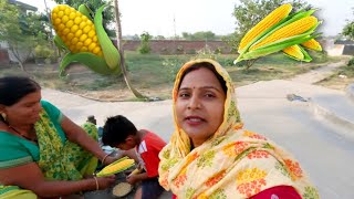 👶आर्य और 👵सासु मां ने कैसे की 🌽भुट्टे की बुआई ?😋