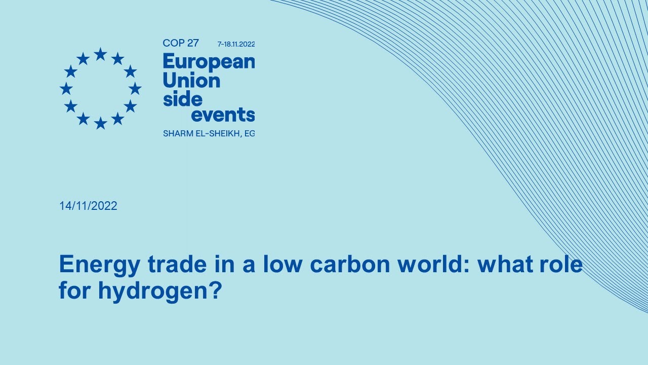Energy trade in a low carbon world: what role for hydrogen?