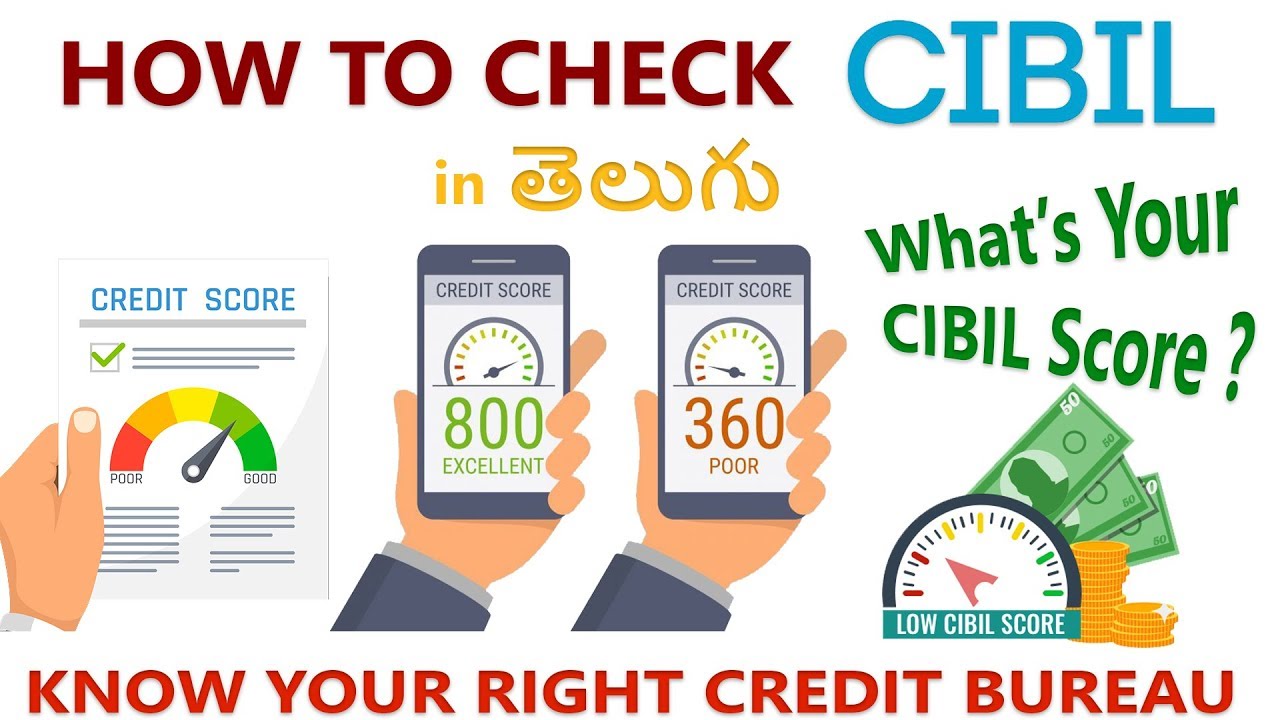 What is CIBIL Score ? How To Check CIBIL Score in Telugu