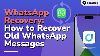 How to Recover Old Whatsapp Messages without Backup or with Backup [2024] screenshot 4