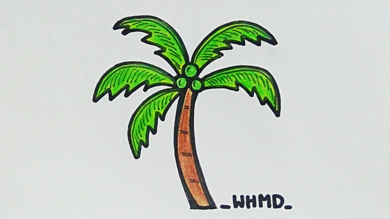 วาดรูปต้นมะพร้าว How to draw a coconut tree