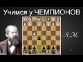 Стейниц ЭФФЕКТНО 💣 громит Берда и его дебют 1.f4  Шахматы