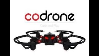 Codrone Review
