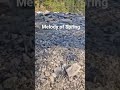 The refreshing sound of a natural spring.