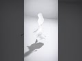 Mesh Rigged Character - AI Rigged 3D Character