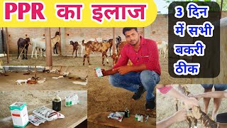 PPR का इलाज || Goat PPR treatment || ppr bimari ka ilaaj