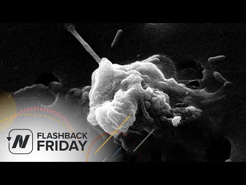 Flashback Friday: Turmeric Curcumin Reprogramming Cancer Cell Death