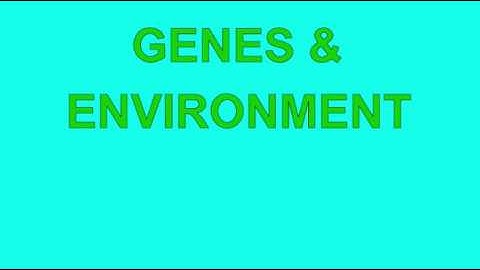 MONOAMINE OXIDASE A INHERITANCE: GENE ENVIRONMENT INTERACTION
