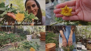 Fresh Brewed Dandelion Tea | Skin & Liver Health