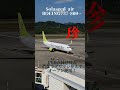 Solaseedair BOEING737-800 ishigakiairport 7spot in
