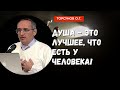 Душа - это лучшее, что есть у Человека! Торсунов лекции