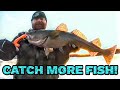 Tips and tricks to help you catch more fish