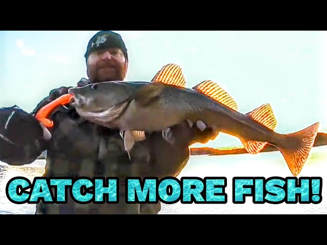 Tips and tricks to help you catch more fish! 