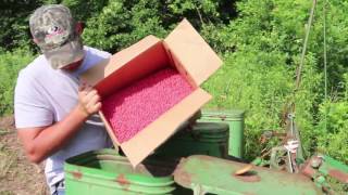 2016 Food Plot Clip