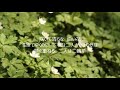 二輪草 川中美幸   カバー J&amp;Iz