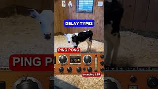 The MOO Delay