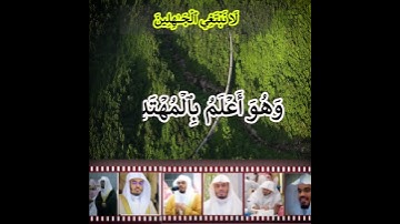 لانبتغی الجاهلین ايات من سورة القصص بصوت #ياسر_الدوسري  #قرآن #اكسبلور