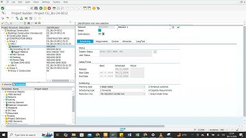 SAP PS (End-User) - 10. Network Cost Itemization through CJ20N