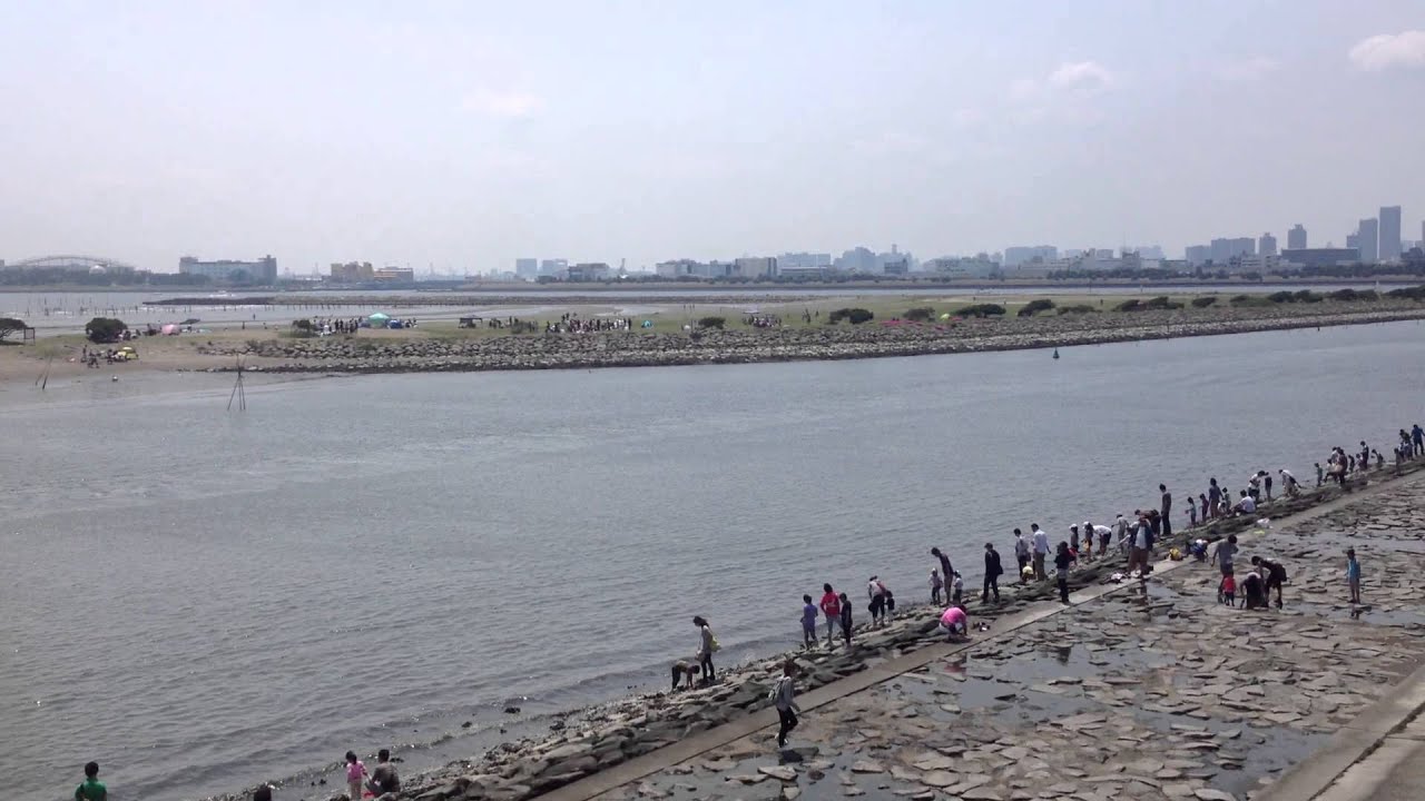 葛西海浜公園 西なぎさバーベキューエリア バーベキューレンタルのbbq Park 葛西海浜公園 西なぎさバーベキューエリア バーベキューレンタルのbbq Park