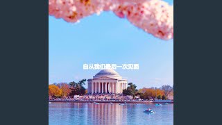Sunny Ambiance for Quiet Papers - Jazz BGM