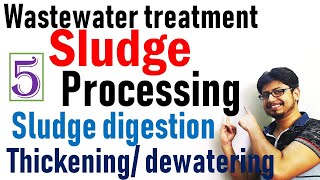 Sludge treatment process
