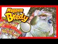 Magnum Bredy マグナムブレディ｜ZAPPU 秦拓馬プロデュース
