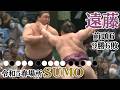 令和5年 春場所 遠藤 9勝6敗 #sumo