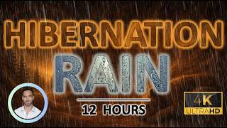 Calming Hibernation Rain Sleep Noise | Deep & Low Winter Bass for Restorative Sleep | 12 Hours