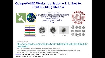 CC3D WS Module 2.1 How to Design and Build Meaningful Models [James Glazier] August 2, 2023