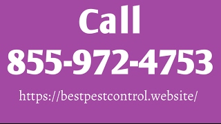 Cockroach Control in Houston, TX 77001