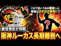 【投手が足りない...】阪神『E.ルーカス』が腰部の疲労骨折で長期離脱へ！ただでさえ投手の人数が少なく苦しいなか先発候補左腕の離脱で近いうちの新助っ人途中補強はほぼほぼ確実に...！？