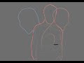 Further developed animation
