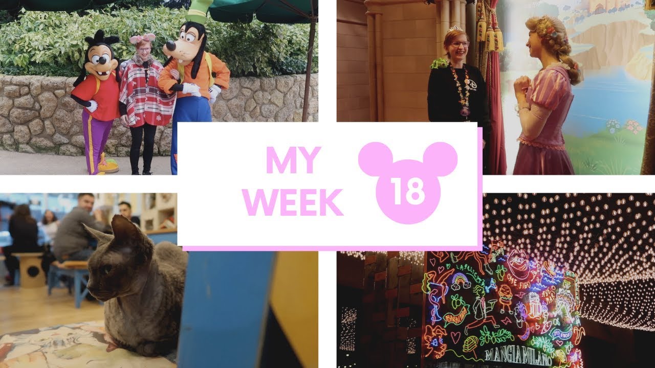 Perjantai-ilta Pariisissa ja kissakahvila | Pariisin taikaa