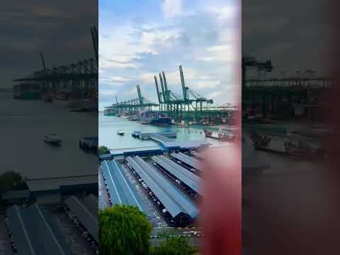 #short Singapore Sea | Singapore Cruise Going Dockyards Ship Respect #viral #viralshorts #ytshorts