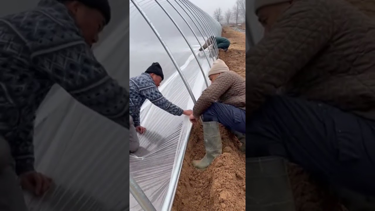 Rural Greenhouse Construction! 8 Farmers Boost Yields Fast 