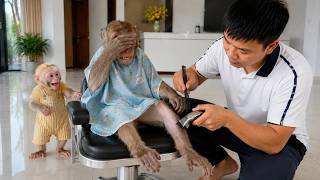 The Best Moments of SinSin and the Smart Baby Monkey! You Won't Stop Watching! The Best Moments of SinSin and the Smart Baby Monkey! You Won't Stop Watching!