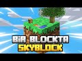 Minecraft Bir Block'ta Skyblock