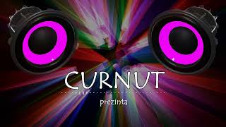 Formatia Curnut (Группа Курнуц) - Как её он любил, песни для души, дворовые #курнуц #curnut