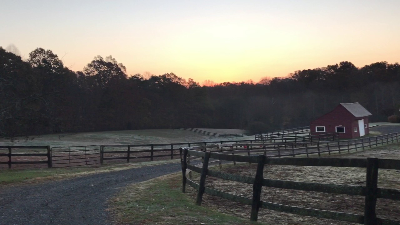 Wolftrap Farm Gordonsville Virginia horse YouTube