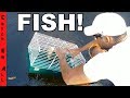 HAMSTER CAGE FISH TRAP Catches Rare Invasive Fish!