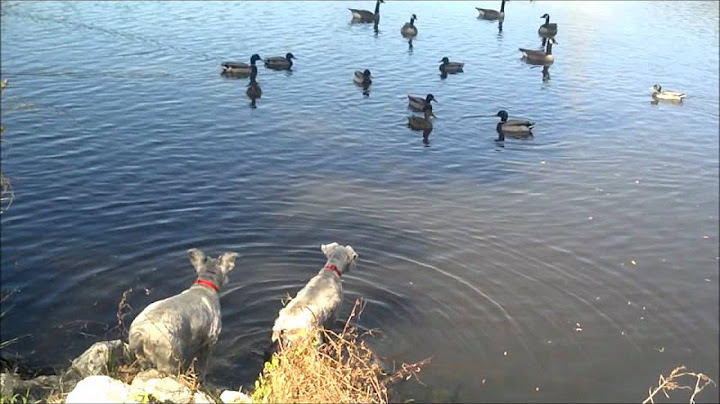 I can turn the grey sky blue