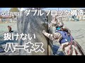 抜けない脱げないハーネスがあるらしい  Best Cat Harness【アメリカンショートヘア】ゴロにゃん 猫用ハーネス