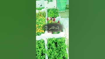 #سورة_الناس #اكسبلور #المصحف #تيك_توك #الرحمن #لايك #القزابري #duet #الورقات #villagelife