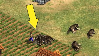 Villese Wolf Rushes... Himself?