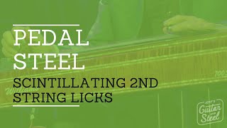 Details Scintillating 2nd String Licks @ Jeff's Guitar & Steel Update