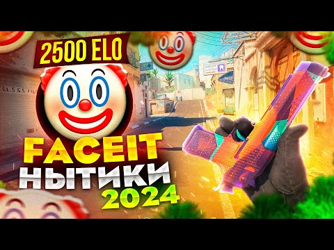 Видео: ЧУДОВИЩА НА FACEIT МЕНЯ ПРЕСЛЕДУЮТ... КС 2