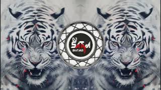 NEW 12 MILLION. VIRAL COLLECTION SONG DJ SATYA X RAM MIX ORIGINAL COMPILATION  KING 👑